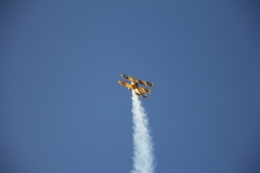 ....hier auch Michaels Sopwith Pup